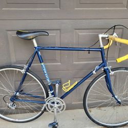 Extra Large Frame Trek Bicycle