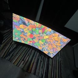 Gaming Monitor Nvidia G-sync