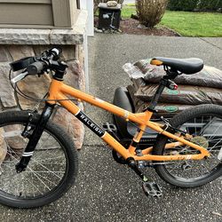 Raleigh Rowdy 20in Kid Bike