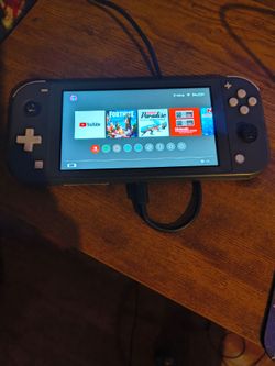 Nintendo switch lite