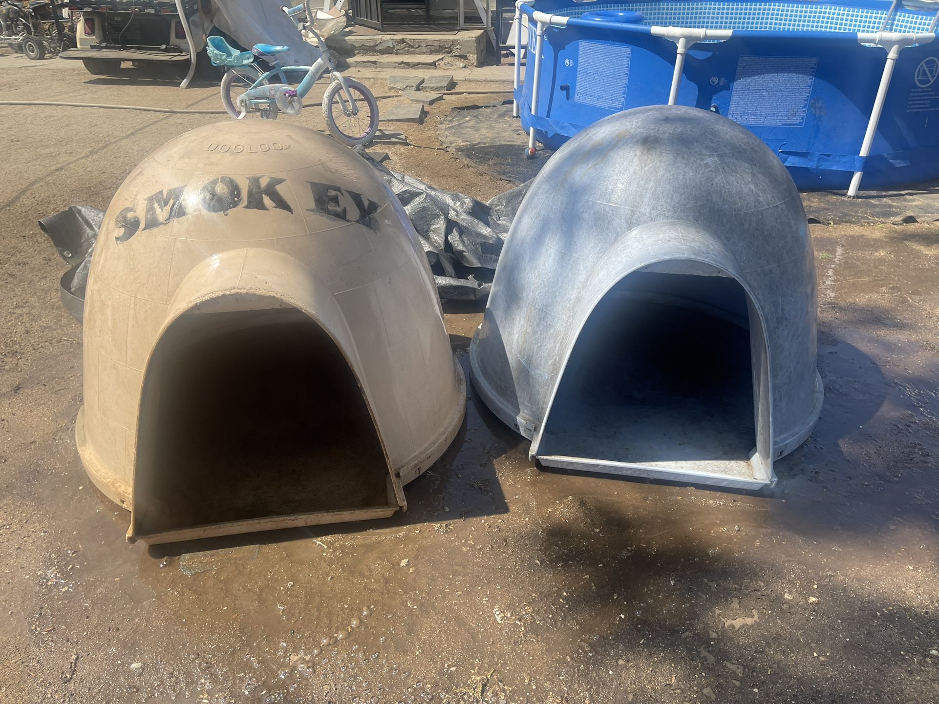 Dog House