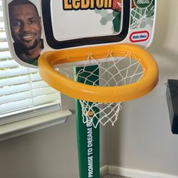 Lebron Basketball Hoop