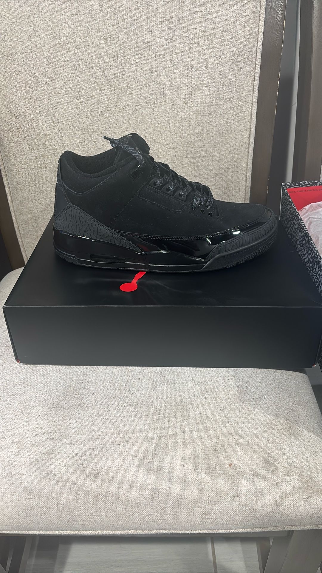 Air Jordan 3 Retros