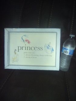 Disney Princess Home Decor 