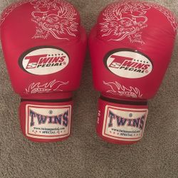 Twins Boxing Gloves