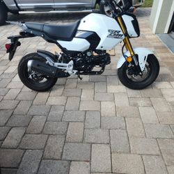 2025 Honda Grom 