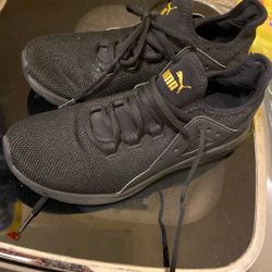 Puma