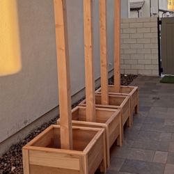 String Light Planters