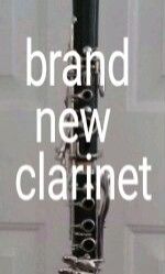 Brand New Clarinet, Has Never Been Played