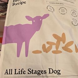 Dog Food 