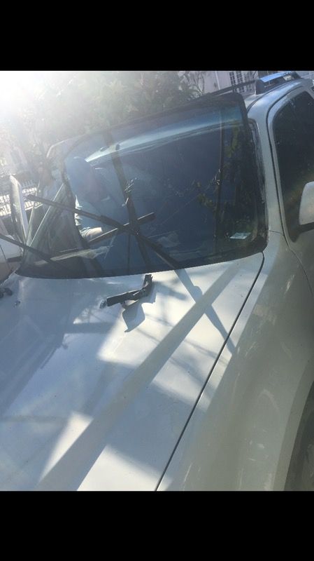 Need a new windshield ?