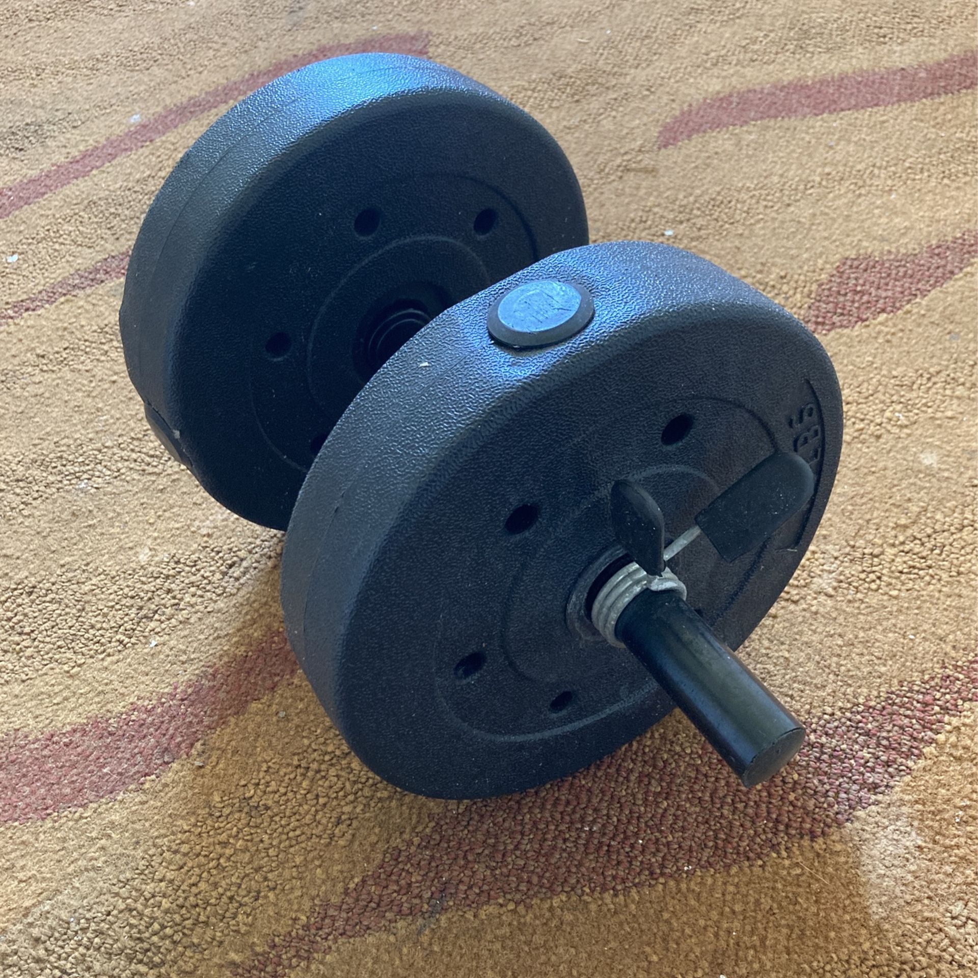 Singular Dumbbell Weight 15 LBS