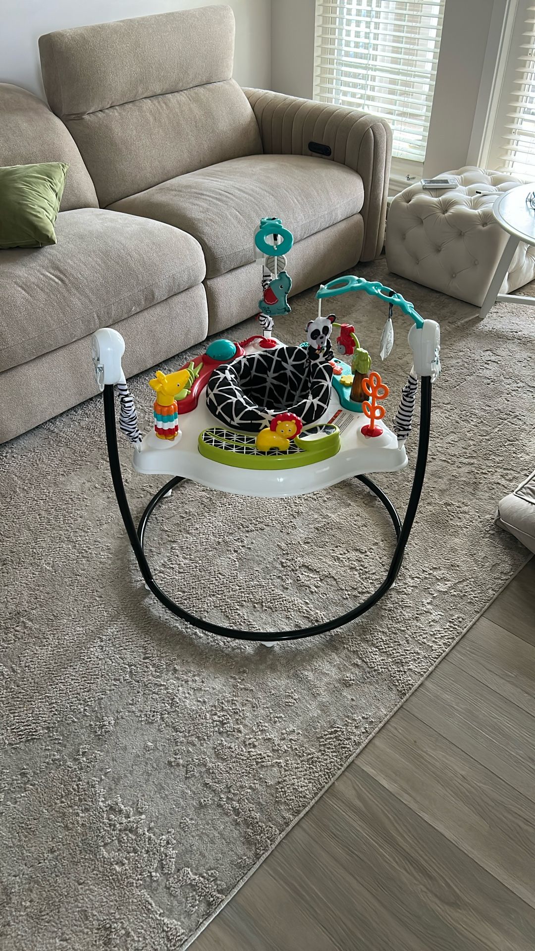 Fisher And Price Baby Jumparoo Baby Bouncer Jungle Edition