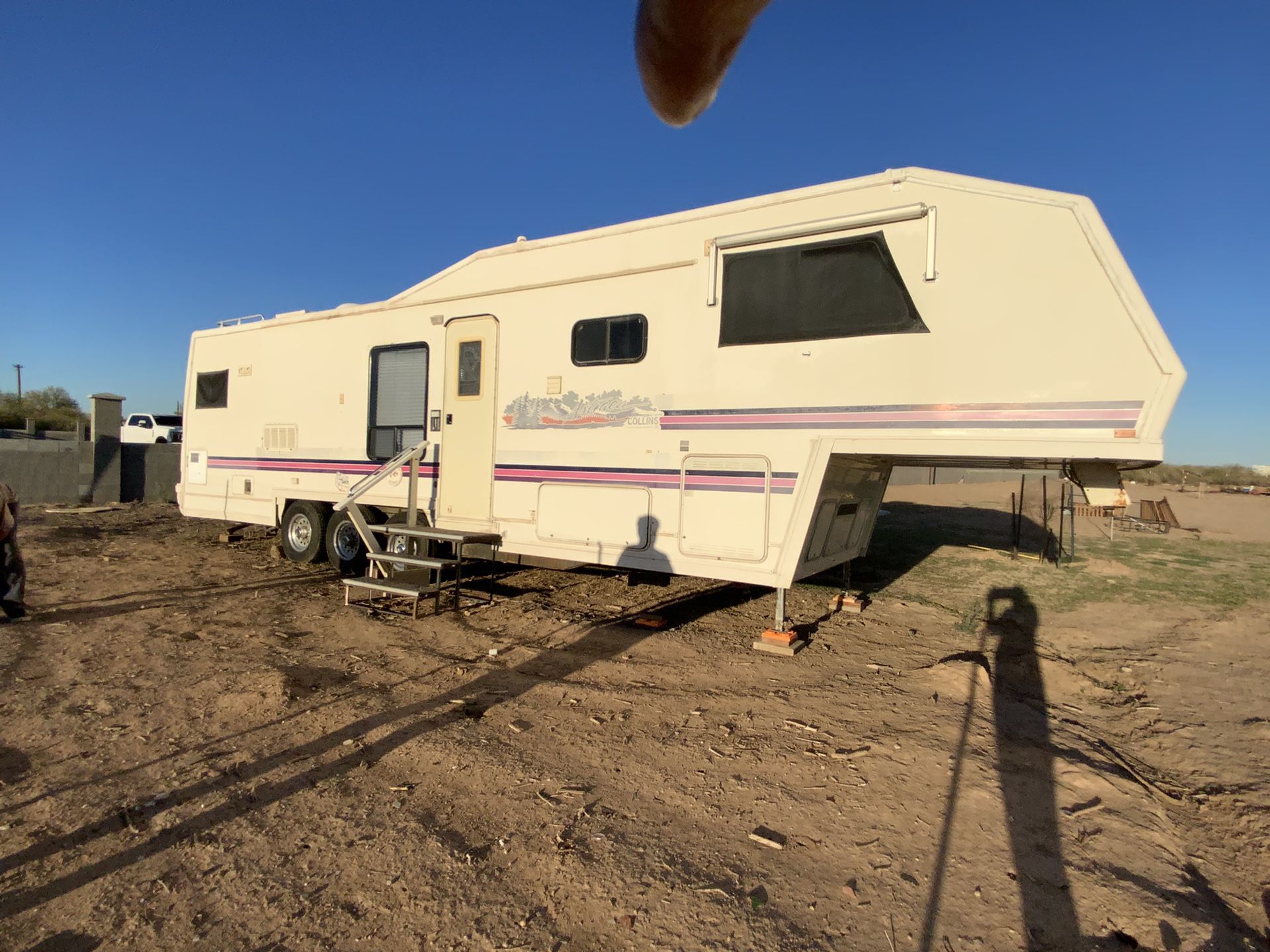 1992 Collin’s Astrea