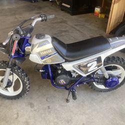Pw50 