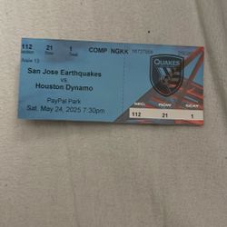 SJ earthquake game  