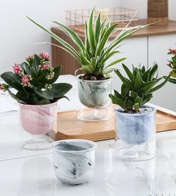 Ceramic/glass Self Watering Planter