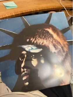 ASAP rocky don’t be dumb vinyl