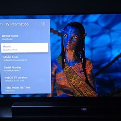 LG OLED C4 65" - Immaculate Condition - Like New (Sandy, UT)