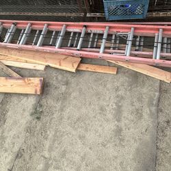 Werner Ladder 