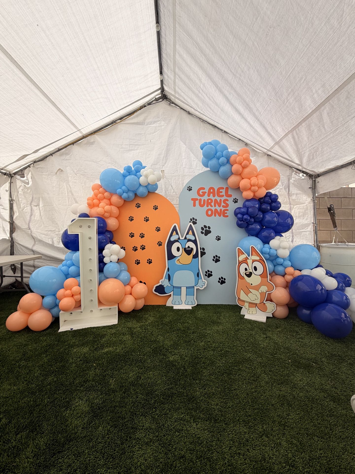 Bluey balloon garland