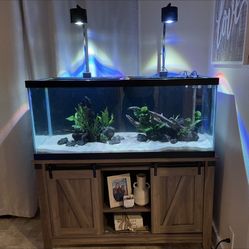 Fish Tank 75 Gallon