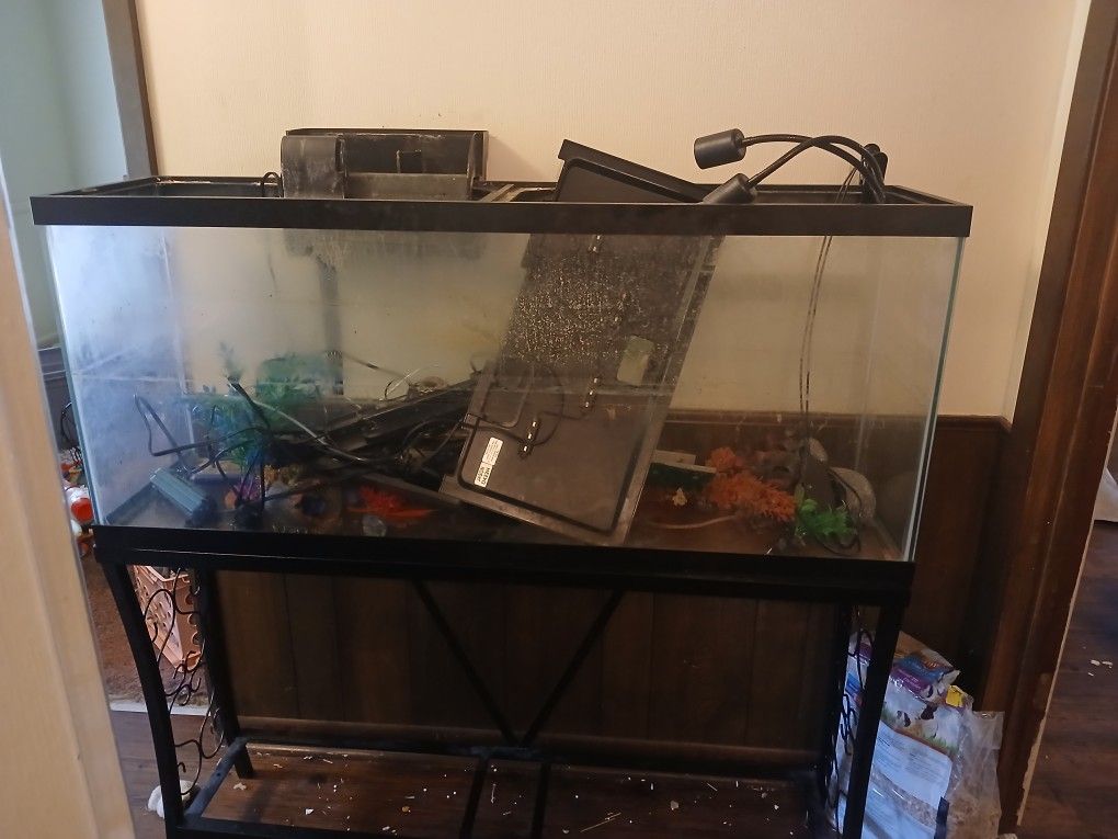 Fish Tank 