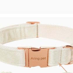 Dog Collar And Leash