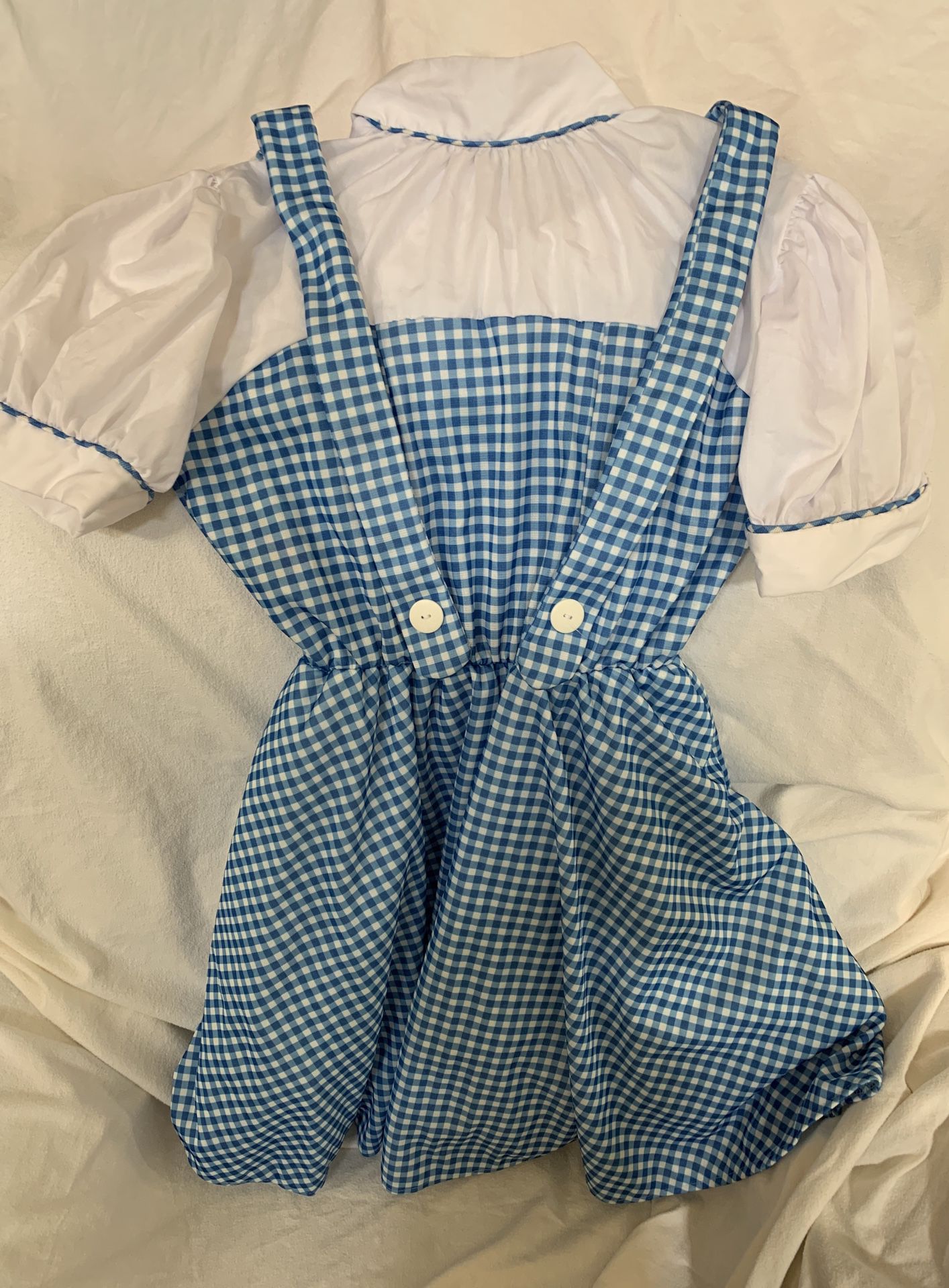 Dorothy Costume (Kids Large)