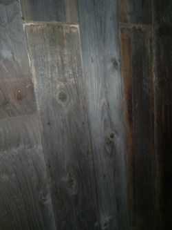 ×6 Foot  Cedar Boards×