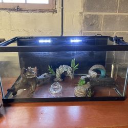 Fish tank, decorations ,heater ,light