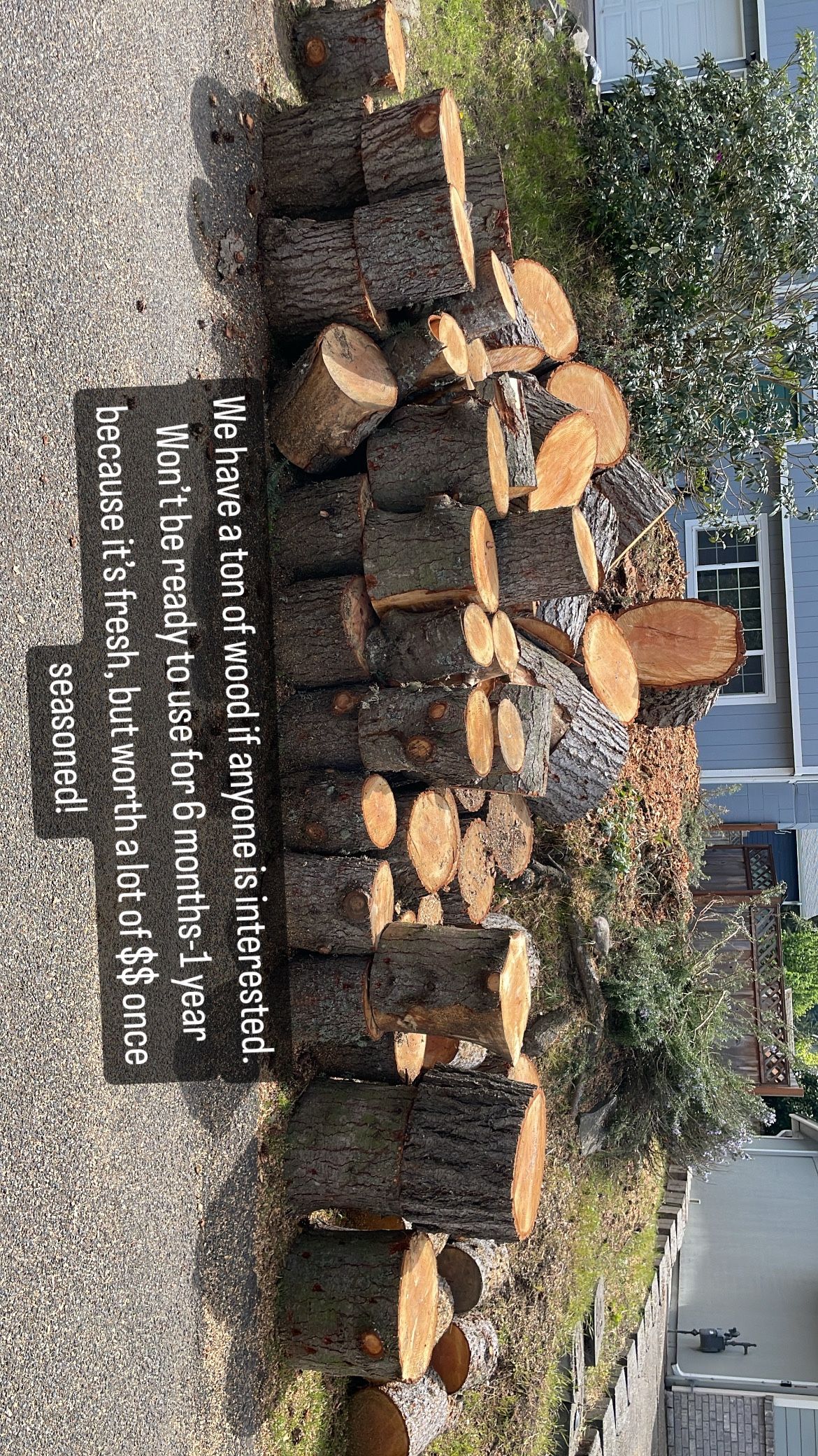 Fresh Wood for Sale