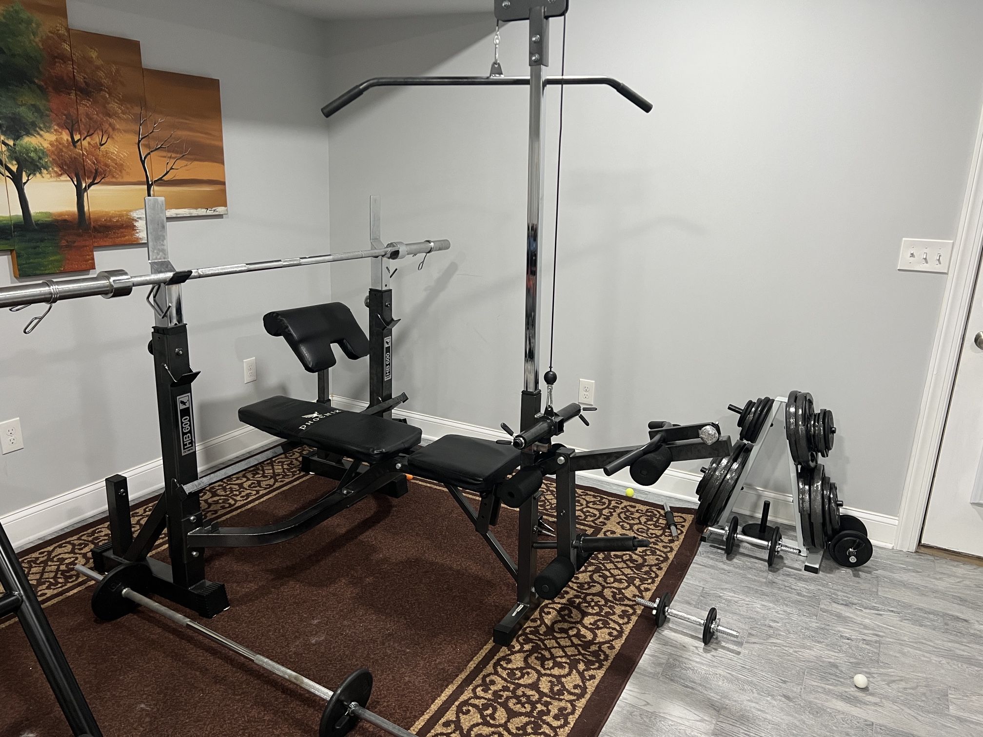 Weight Lifting Equipment Bundle