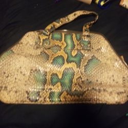 Hammitt Python Bag