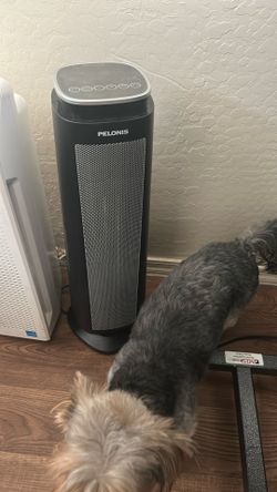 Pelonis Space Heater