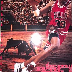 Scottie Pippen Framed Poster (1995)