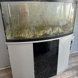 75 Gallon Bowfront Fish Tank