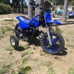 2024 Yamaha Pw50