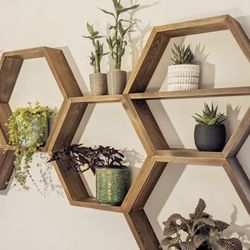 Octagon shelves outlet