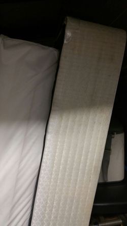 Mattress and box springs always been completely covered with a zippered nylon cover