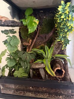 Enclosure