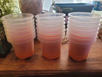 Clear nursery pots