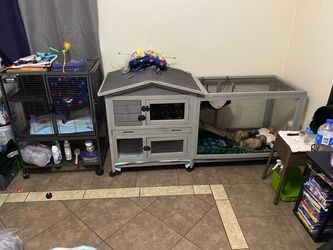 Ferret hut