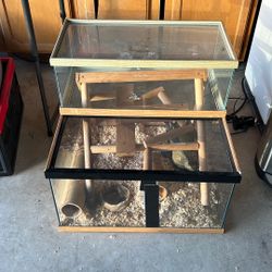Free Snake/Reptile Glass Cage