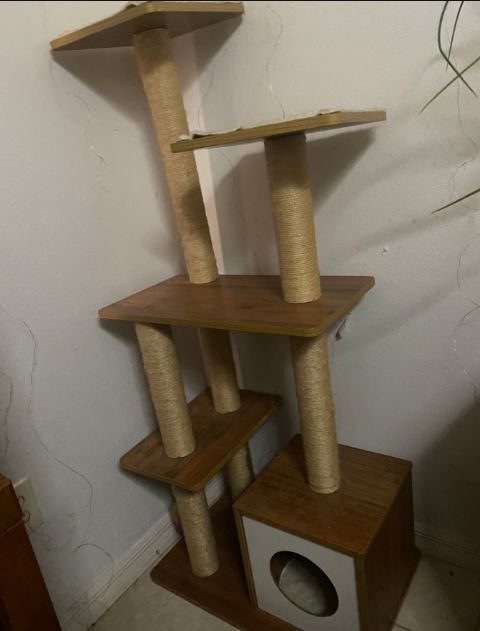 Cat Tower