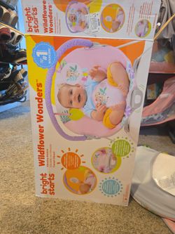 Baby Bouncer