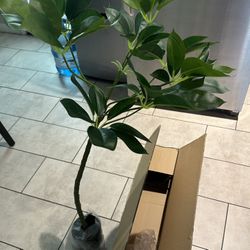  AfanD Artificial Umbrella Tree, 4ft(47in) Tall Fake Plants