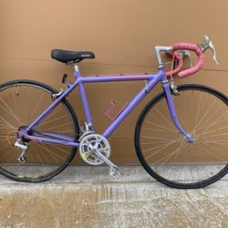 Vintage Cannondale Road Bike