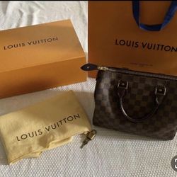 Louis Vuitton Purse Bag