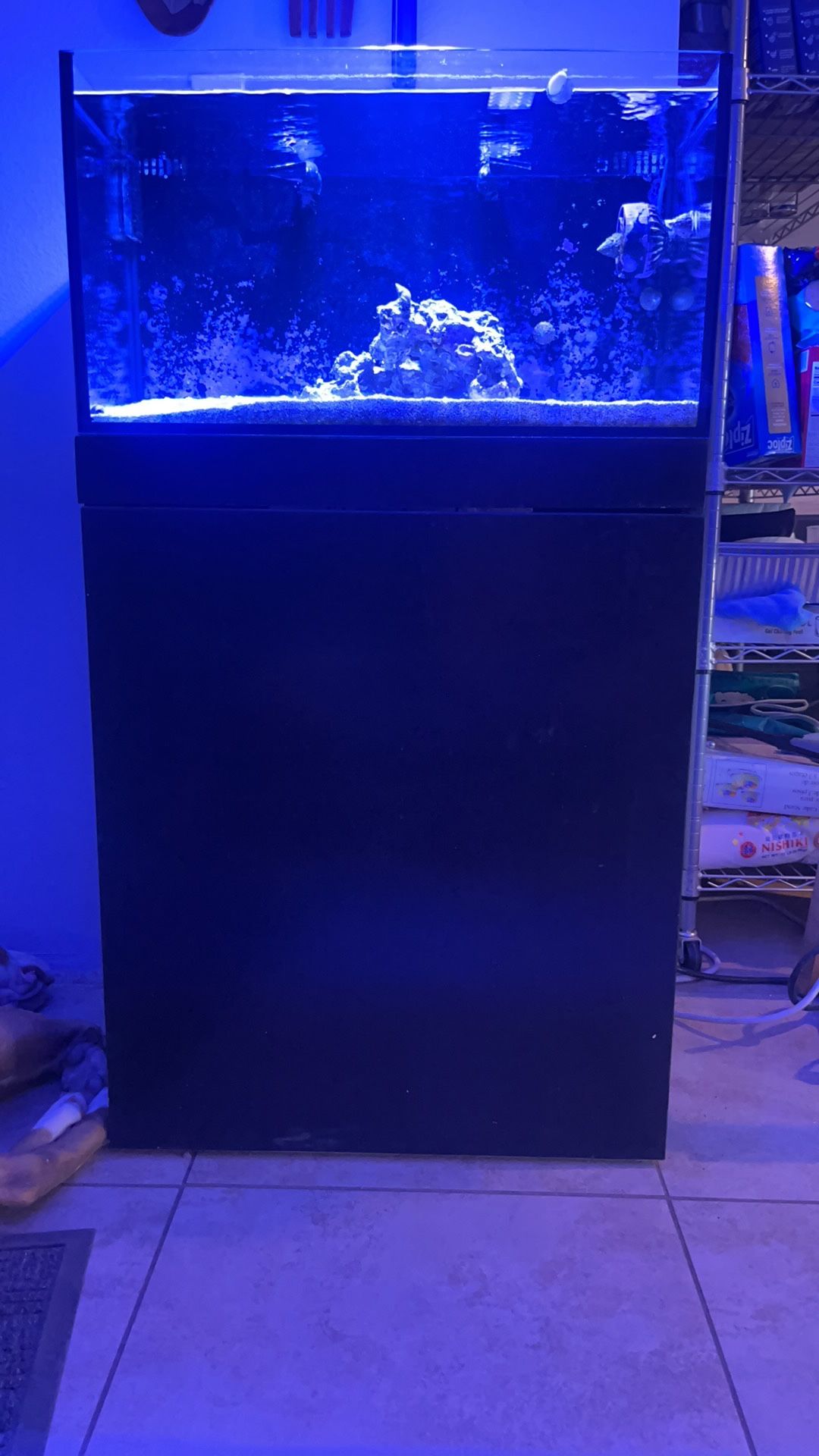 IM Nuvo Fusion 20 Gallon Reef Tank